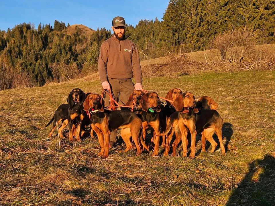 🎙️💥PRÉSENTATION SIXIÈME MEUTE💥

En ce lundi soir, nous allons vous présenter Alexandre BELLAMY, ce jeune chasseur pationné depuis toujours !!!🤩🐗

Alexandre , nous so