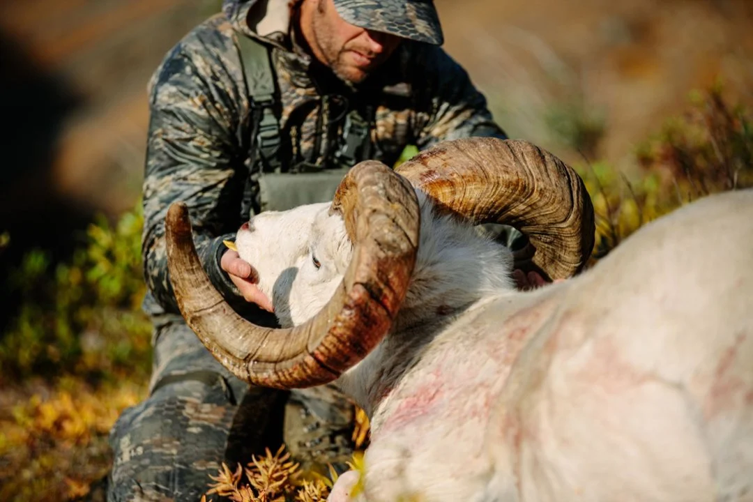 Die Jagd im Bezirk Vöcklabruck: Naturräume, Jäger, Fauna, Jagdtermine, Jagdmethoden, Vorschriften, Jagdgepflogenheiten, Details
Naturräume und ihre Eigenschaften