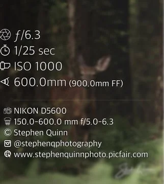 Deer season is upon us!