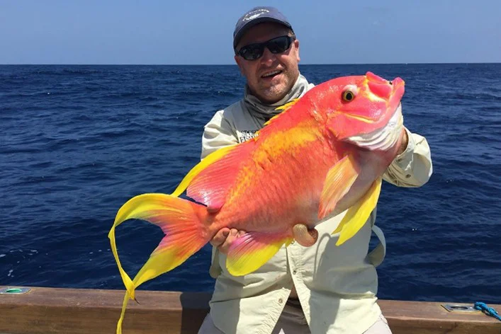 #Alabama Deep Sea Fishing Rodeo Introduces New Live Tripletail Category to Support Marine Research