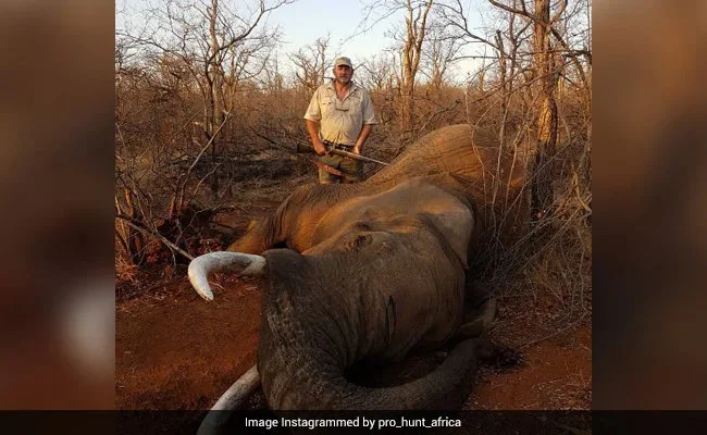 Trophy Hunter Who Killed Many Wild Animals Shot Dead
A man who hunted endangered animals and posted images of himself next to their carcasses was shot dead in South Afri