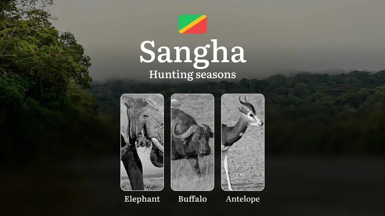 Hunting Dates in the Republic of the Congo, Sangha Region: Seasons and Time of Hunting, Licenses, and Rules, Tactics for Hunters and Permits

Hunting in the tropical fore