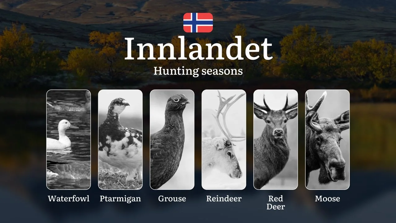 Hunting Seasons in Innlandet: Regulations, Permits, and Time for Hunting, Documents and Organizations