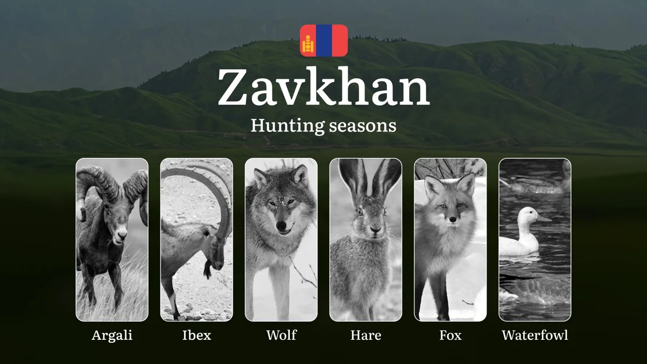 Hunting Seasons in Zavkhan Province: Restrictions, Bans, and Protected Species, Choosing Timing, Gear, and Tactics