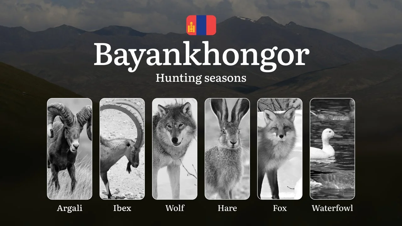 Hunting Seasons in Bayankhongor Province: Regulations, Permits, and Time for Hunting, Documents and Organizations