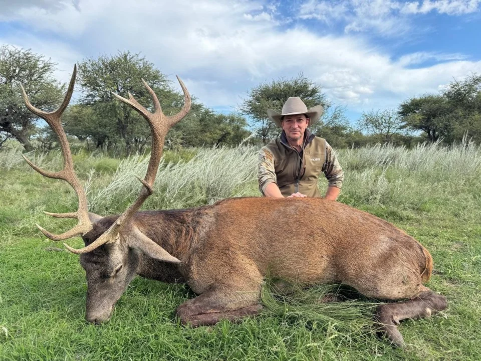 Jagd im Glâne (Kanton Freiburg), Schweiz: Landschaftsmerkmale, Jagdarten, Wildbestände, Abschusszeiten, Interessengruppe… Jagd im Glâne (Kanton Freiburg), Schweiz: Landschaftsmerkmale, Jagdarten, Wildbestände, Abschusszeiten, Interessengruppe…