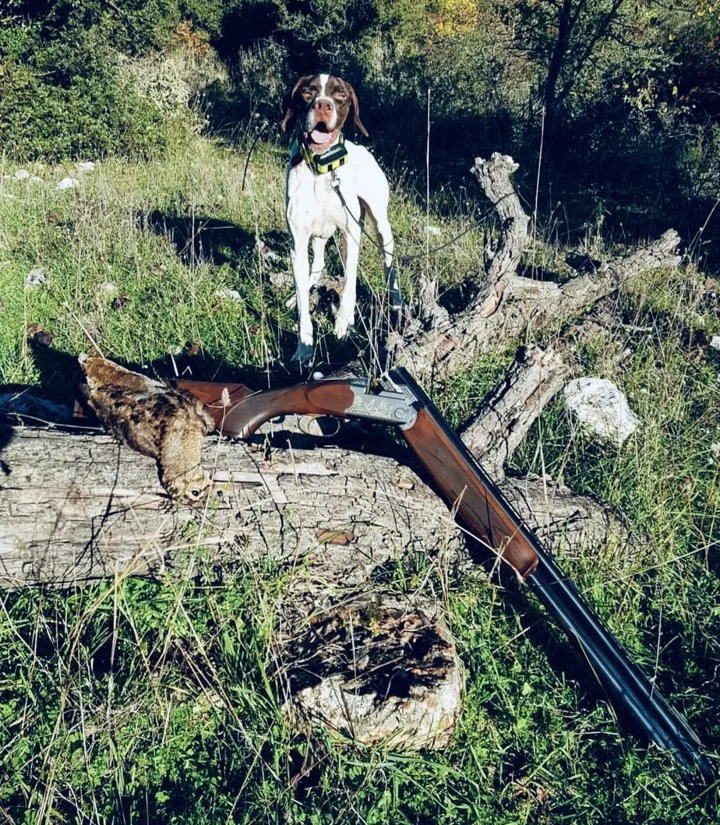 Топ-5 ружей Beretta для охоты: выбор профессионалов
