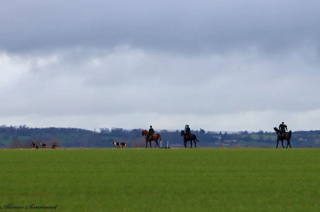 Anne de France et sa passion pour la chasse, un bon exemple..