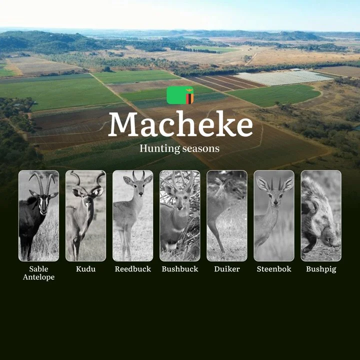 Exclusive Hunting Calendar and Events in Macheke: Where Conservation Meets the Thrill of the Chase