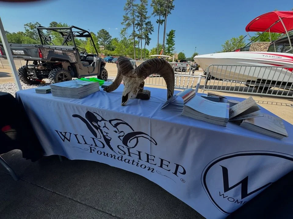 Wild Sheep Foundation - Founded in 1977 and then known as the Foundation for North American Wild Sheep (FNAWS), the Wild Sheep Foundation (WSF) is THE conservation organization dedicated to restoring wild sheep populations that dwindled to historical lows in North America in the 1950s and ‘60s.