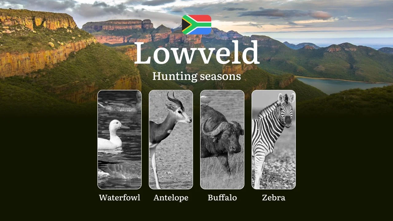 Hunting Seasons in South Africa Lowveld: Hunting Periods and Dates, Licenses, Rules and Times for Hunting, Tips for Hunt…