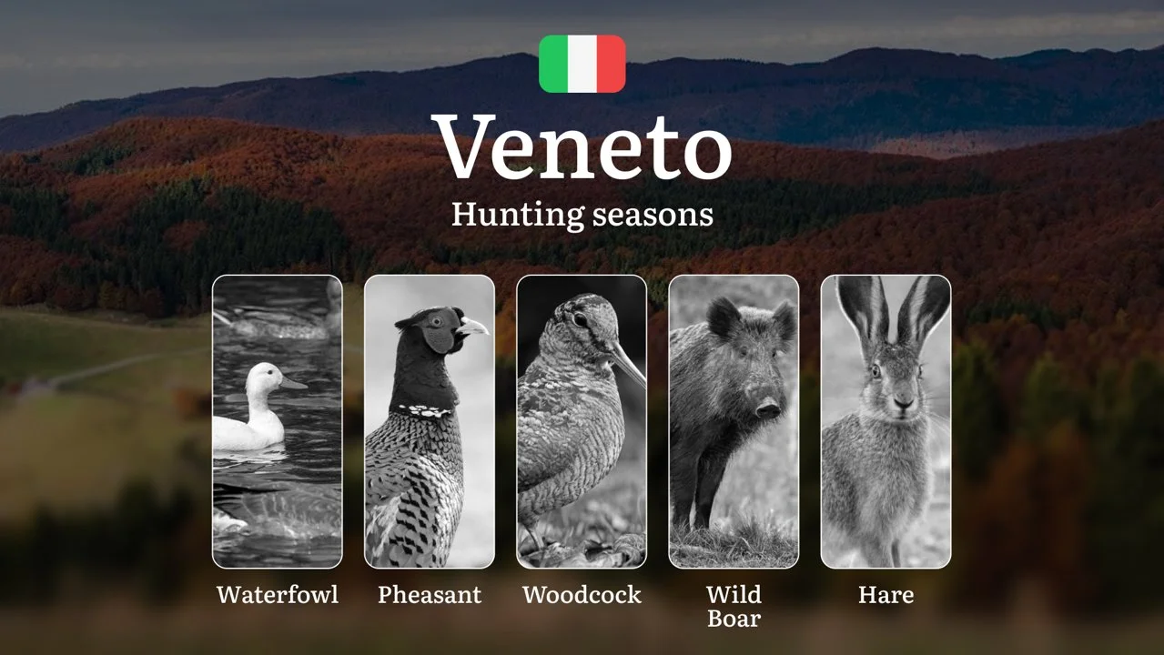 When to Hunt in Veneto: A Seasonal Breakdown of Alpine Meadows and Po Valley Opportunities