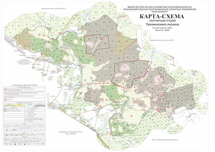 Пуховичский лесхоз: карты и границы для охоты, места и схемы пристрелки