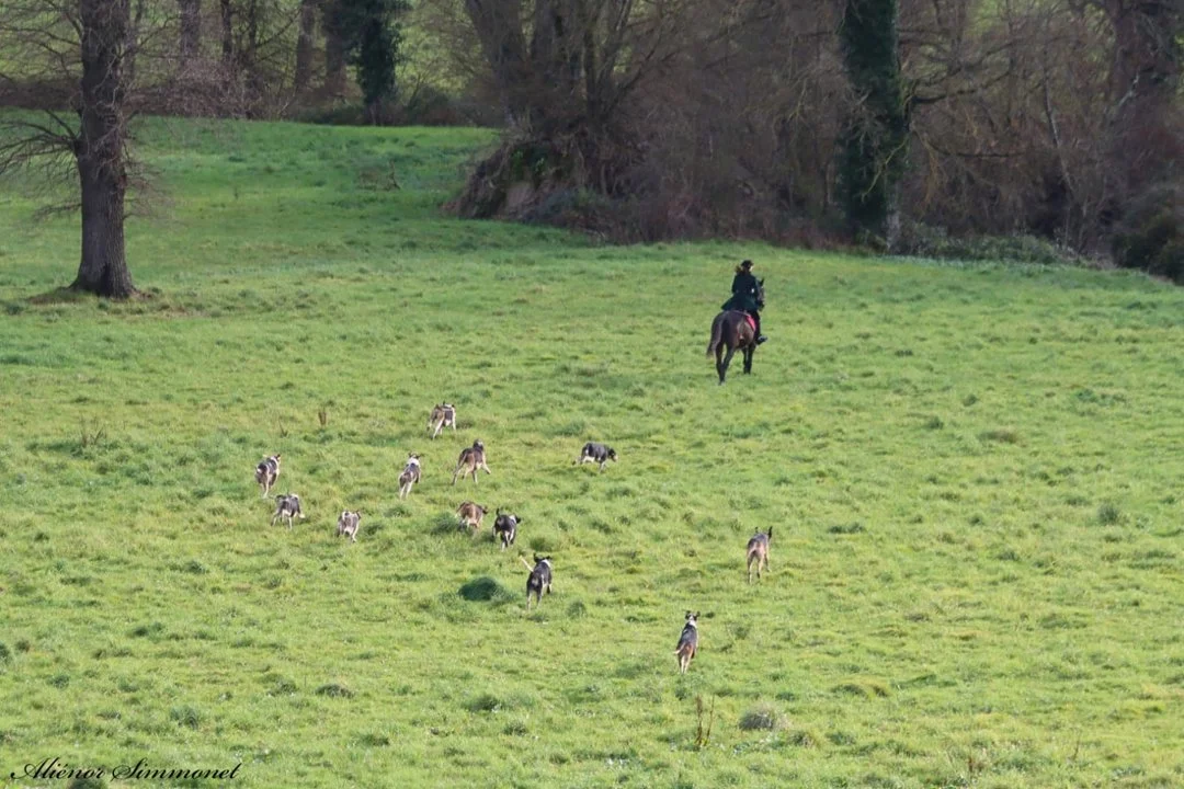 Anne de France et sa passion pour la chasse, un bon exemple..