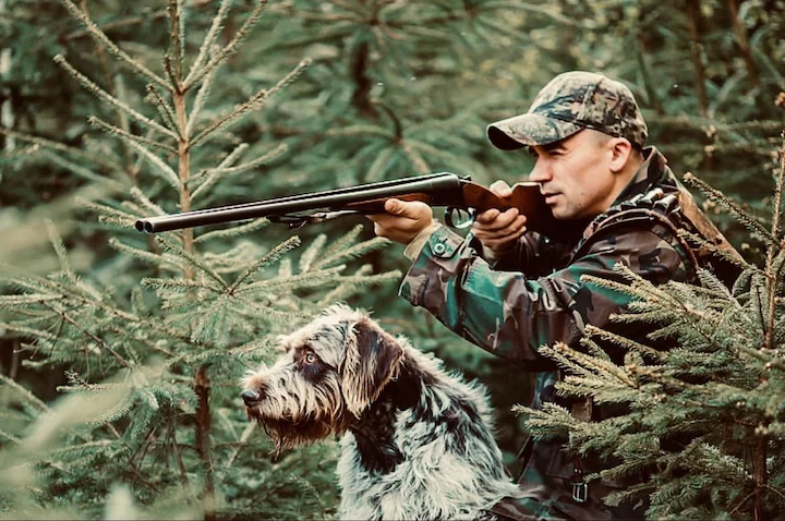 Полкан 