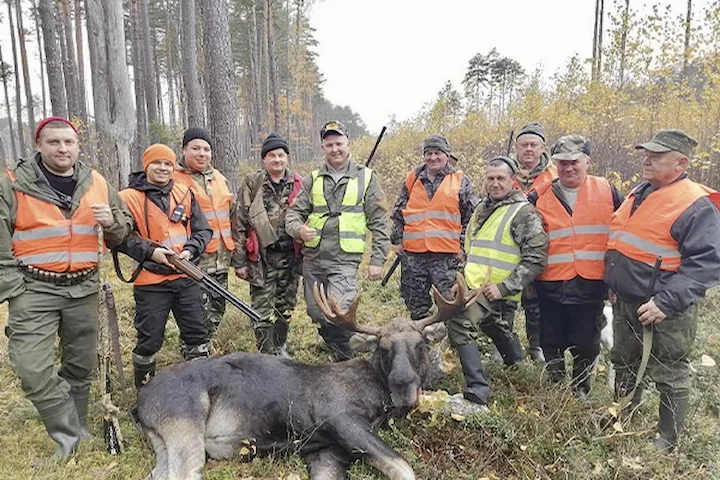 Приглашаем на охоту в Октябрьский охотничий комплекс в Гомельской области