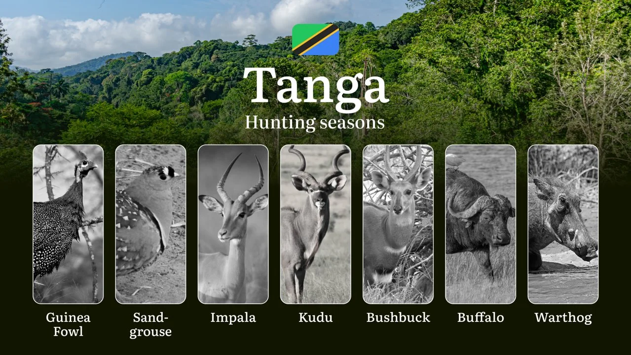 Hunting Date Ranges in Tanga: Species Available Throughout the Year, Seasonal Game Patterns, and Steps to Acquire an Off…