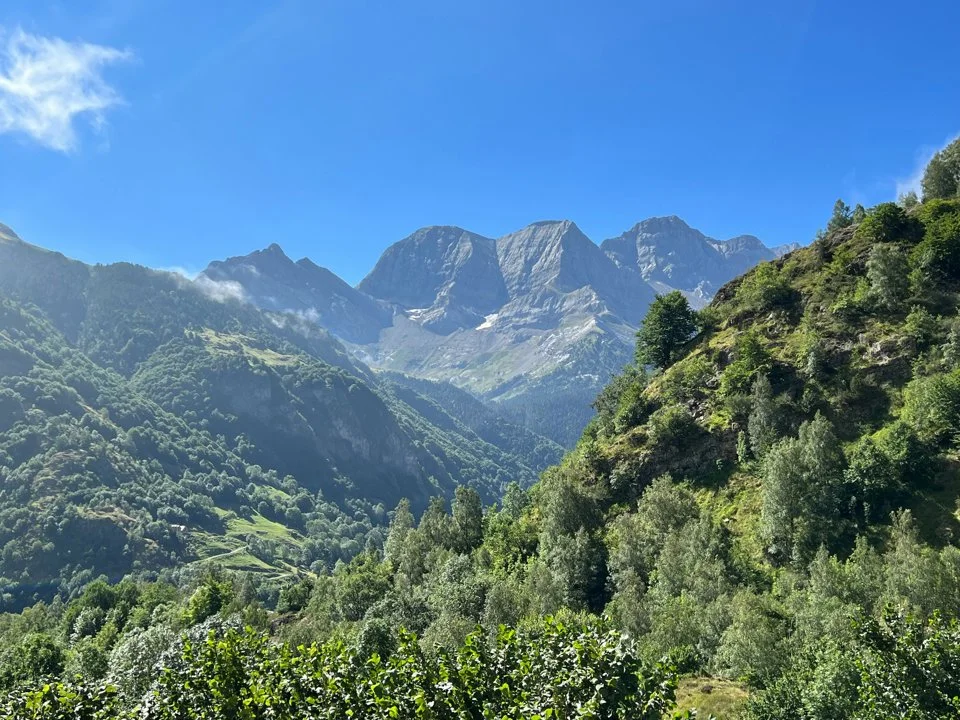 Chasse en CHARTREUSE: Guide complet sur la faune, saisons de chasse, traditions locales et législation spécifique

La Chartreuse, massif préalpin situé dans les départeme