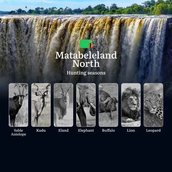 Dusk Till Dawn in Lion Country: Prime Hunting Seasons, Events, Tactics for Matabeleland North's Big Game Dusk Till Dawn in Lion Country: Prime Hunting Seasons, Events, Tactics for Matabeleland North's Big Game