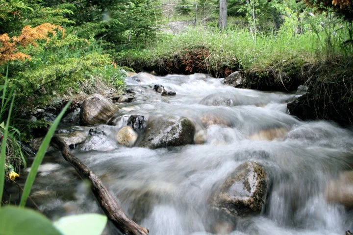 Northern rivers drying up are threatening traditional moose hunting and fishing practices