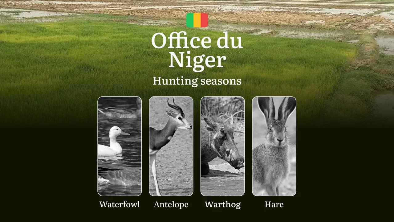 Hunting Periods in Office du Niger: Peak Hunting Periods for Large and Small Game, What’s Off Limits, Rules and Exceptio…