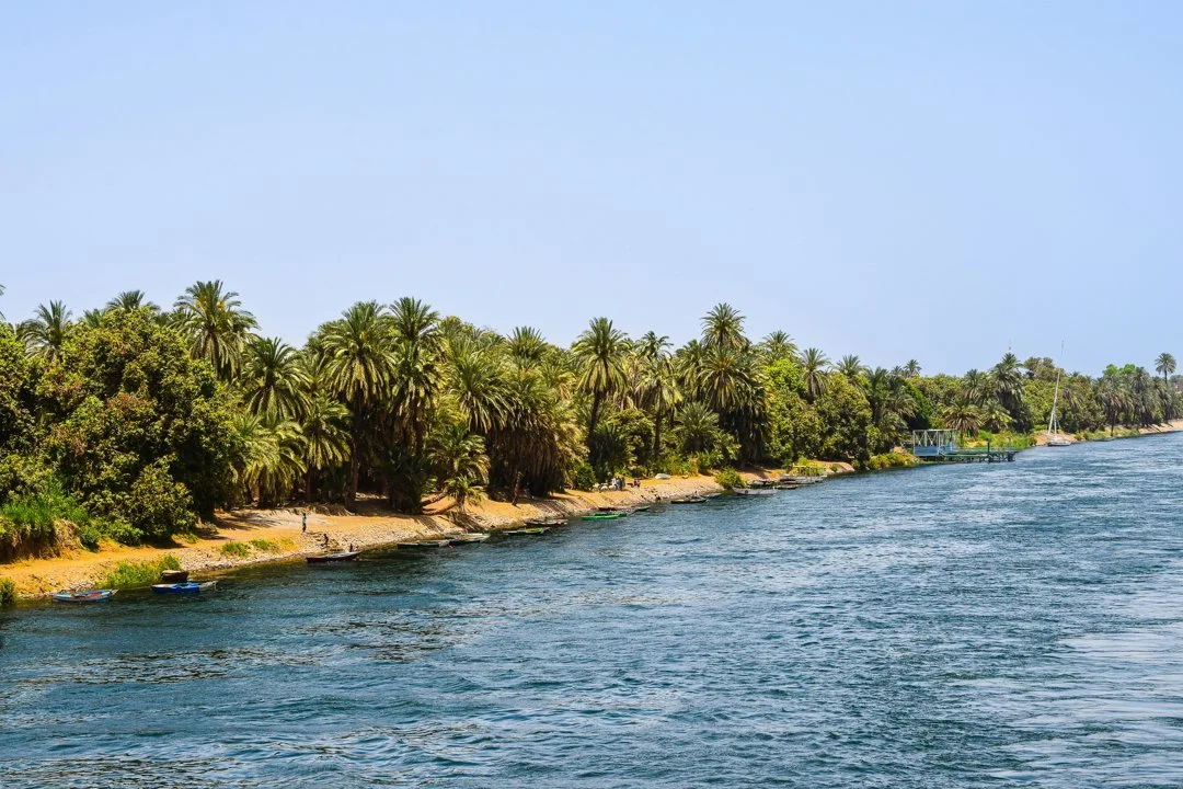 Hunting in the Dakar Department of Senegal: game, laws, legislation, hunting seasons