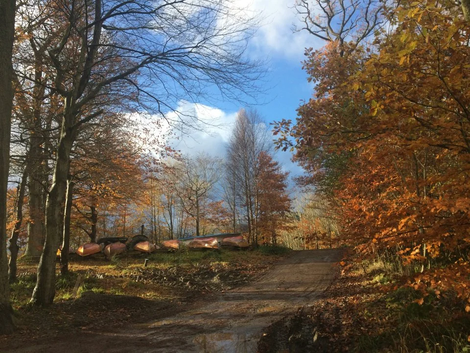 Hunting in Shropshire, England: geographical and natural features of the region, hunting seasons, interesting facts and…