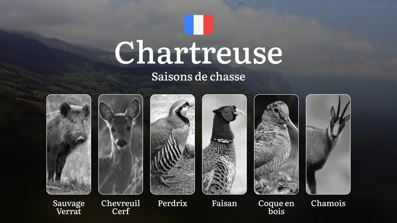 Saisons de chasse en CHARTREUSE: Calendrier Complet, Règles Générales, Espèces Chassables, Événements Locales et Conseil…