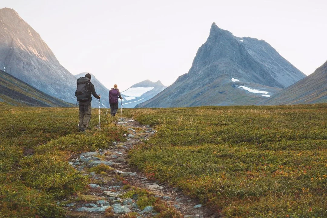 Swedish Hunting Law Overhaul: Major "Wildlife Management Act" Proposal Presented