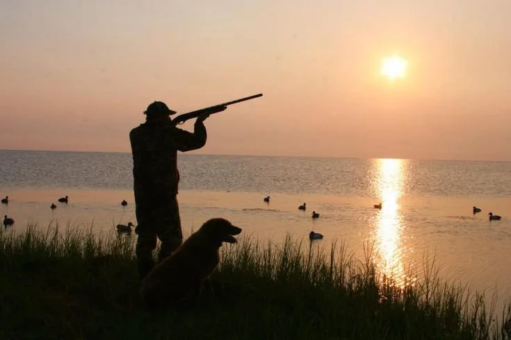 Hunting in FRIULI-VENEZIA GIULIA: Clubs and Community, Legislation and Hunter Seasons