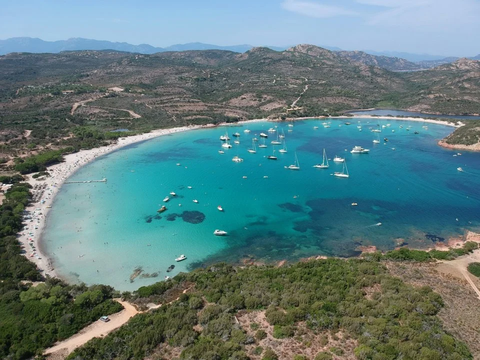 Chasse en CORSE-DU-SUD: Votre Guide Complet sur la Faune Sauvage, les Saisons de Chasse Idéales et les Faits Marquants
La Corse-du-Sud, avec ses paysages montagneux, ses