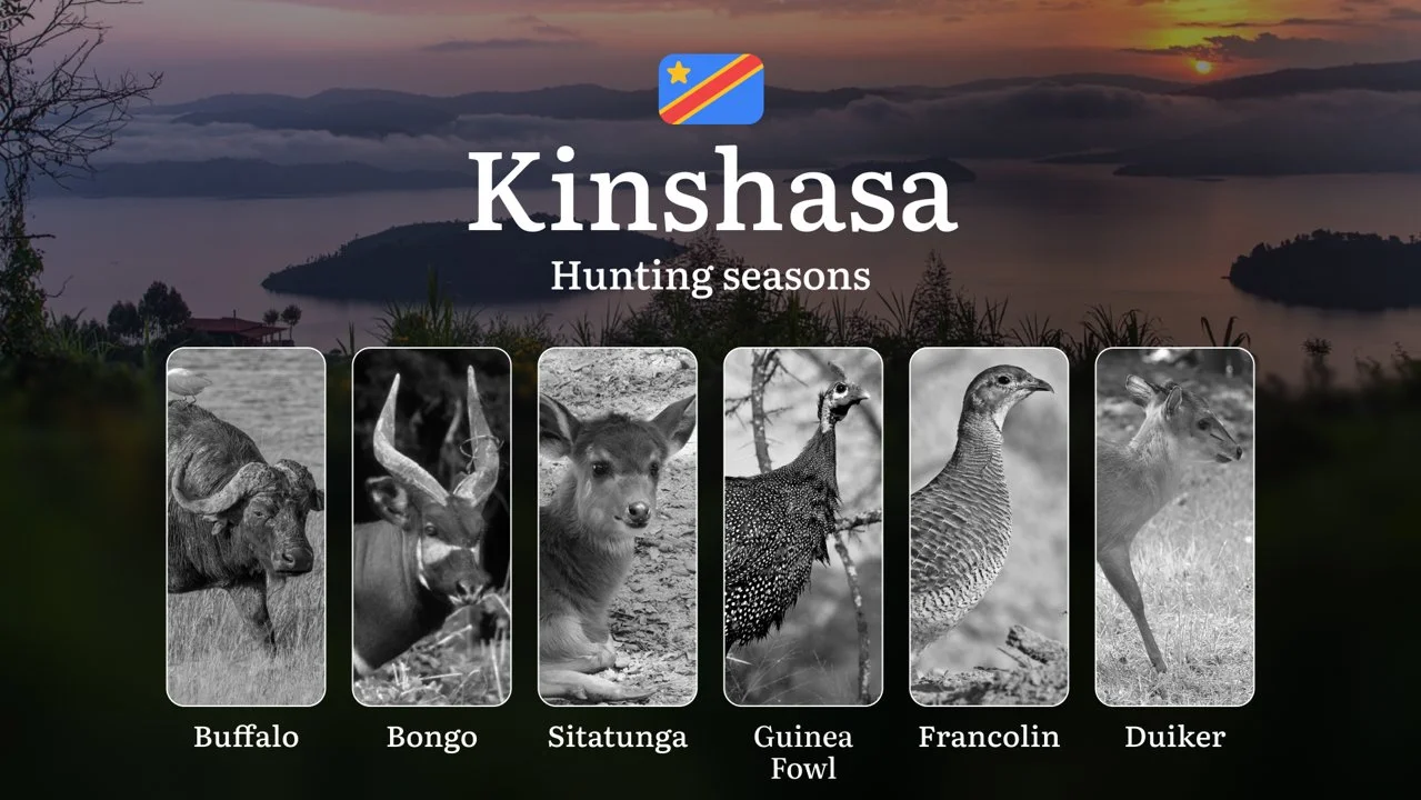 Hunting Calendar for Kinshasa Province: Regional Hunting Rules, Licensing Procedures, Off-Season Violation Penalties, an…