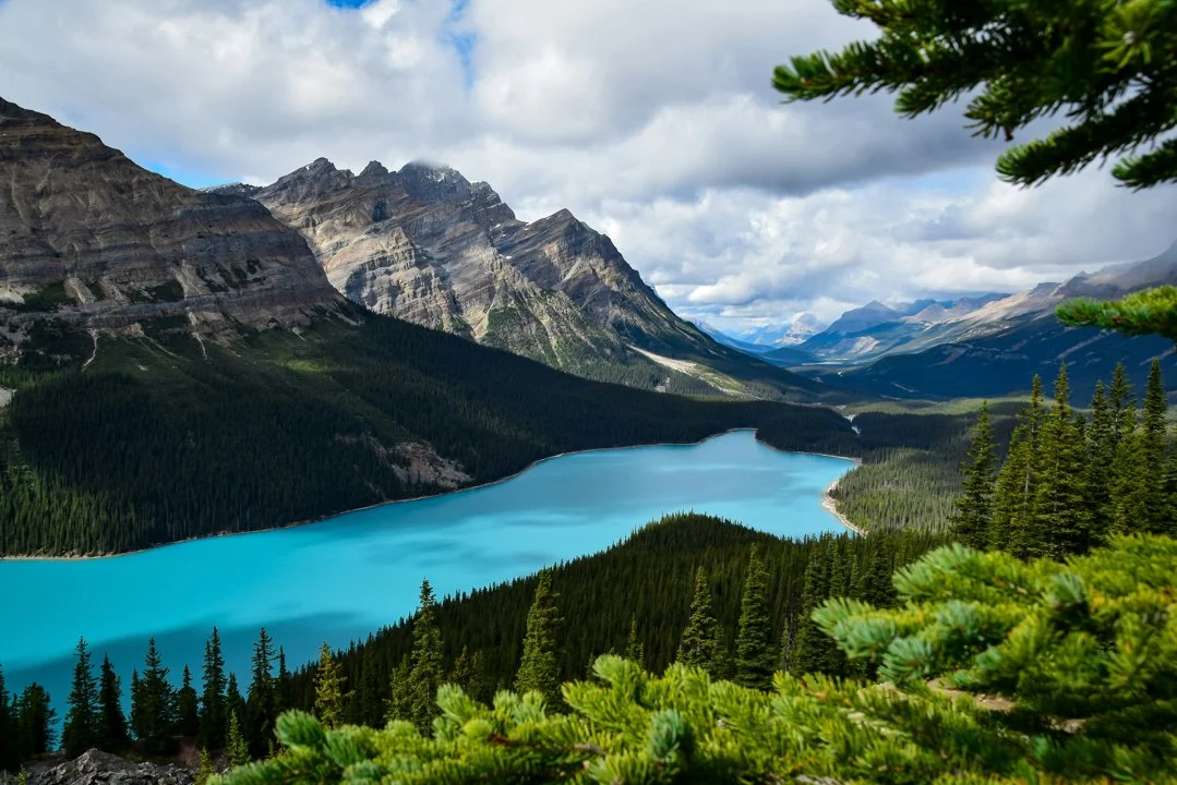 La chasse dans la région du YUKON (Yn) : Espèces locales, types de chasse et préparation pour les terrains nordiques
Le Yukon (Yn), territoire emblématique du nord-ouest