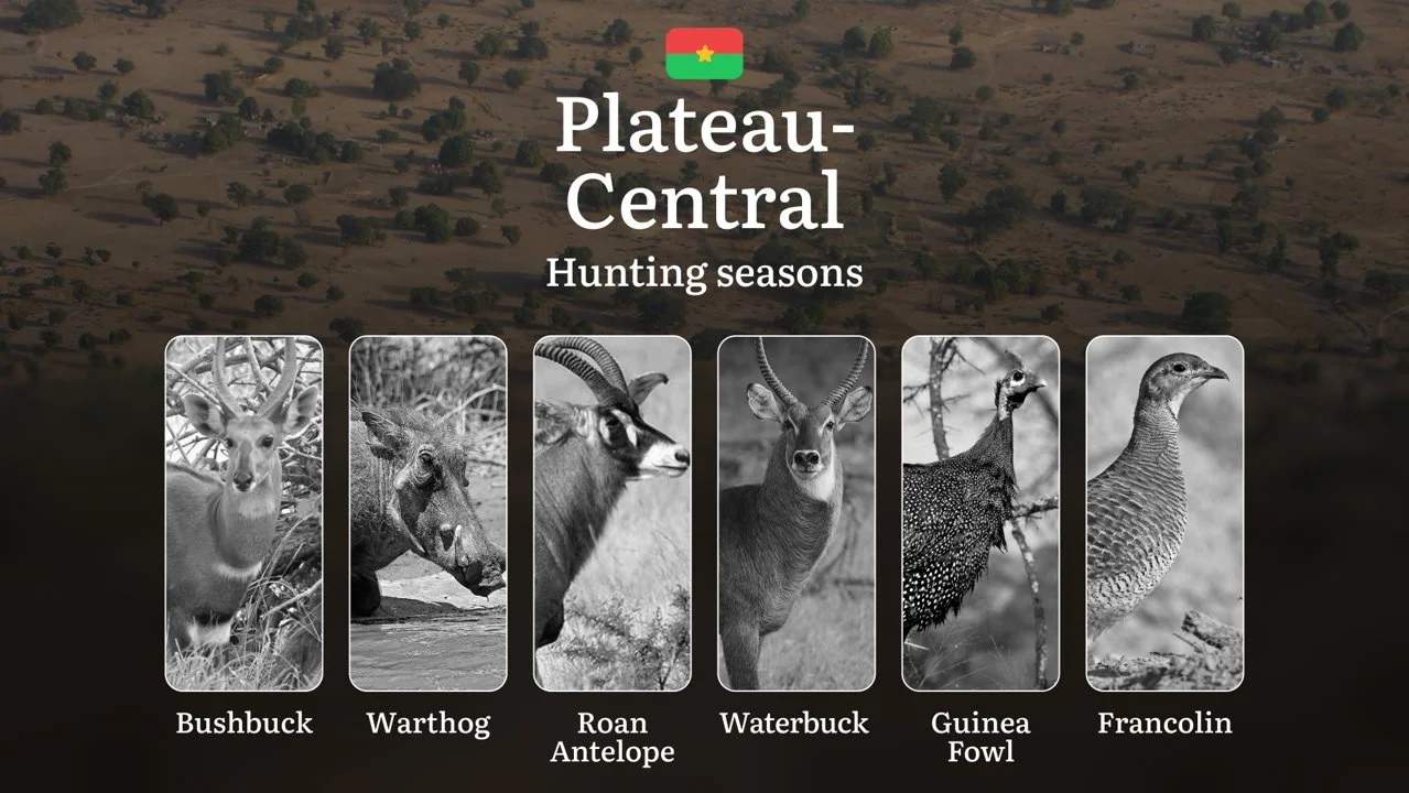 Hunting Seasons in PLATEAU-CENTRAL: Optimal Hunting Periods, General Rules, Protected Species, Required Documents and Practical Tips

Burkina Faso offers a rich hunting l