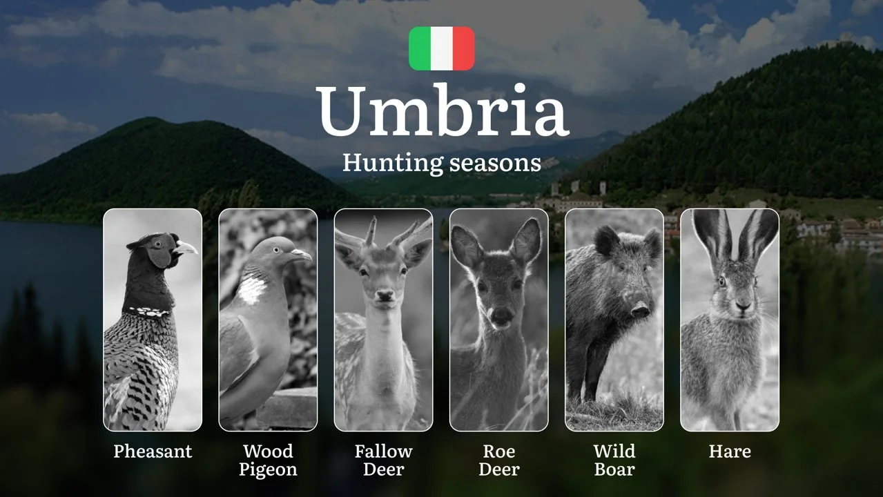 From Trasimeno to the Apennines: Umbria's Hunting Seasons Explained – Opening Dates, Special Permits and Prohibited Periods