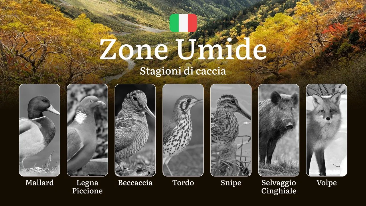 Tra Paludi e Lagune: Calendario Venatorio nelle Zone Umide Italiane con Date e Specie Protette

Le zone umide italiane , tra le più importanti d’Europa per biodiversità, 