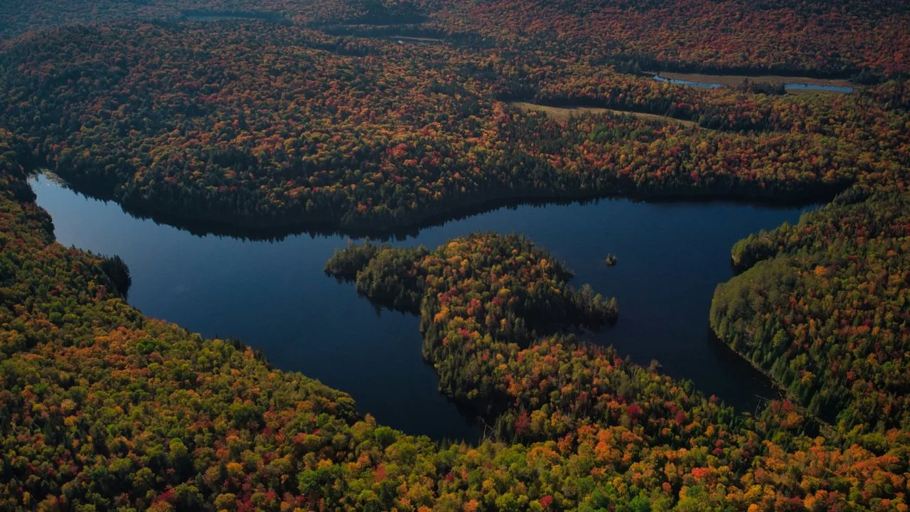 HUNTING IN QUEBEC: GEOGRAPHICAL CHARACTERISTICS, HUNTING SEASONS AND LEGISLATION SYSTEM IN QUEBEC AND TYPES OF HUNTING O…