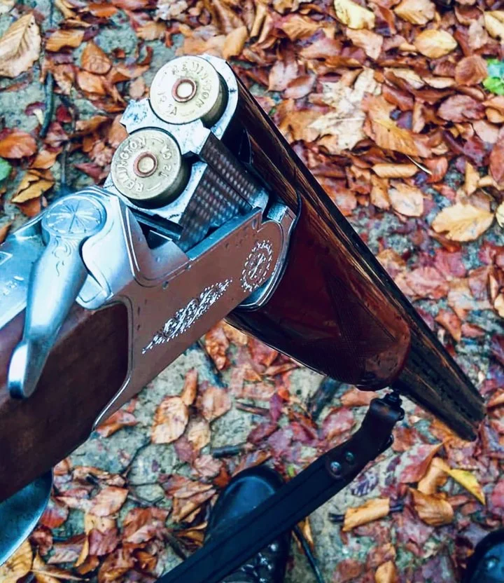 CZ Mallard: обзор охотничьего ружья, калибр, характеристики, отзывы, цена.