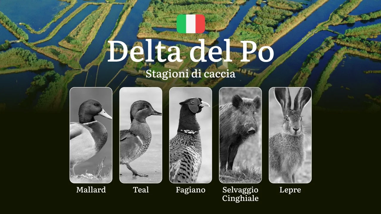 Tra Canali e Paludi: Calendario di Caccia nel Delta del Po con Date e Specie Protette
Il Delta del Po rappresenta uno dei paradisi venatori più suggestivi d'Italia, dove