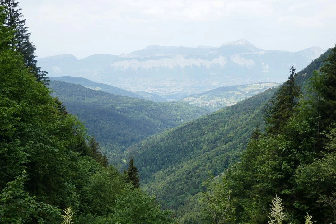 Jagd in Eschen, Liechtenstein: Natur, Traditionen, Wissenswertes, Jagdmethoden, Saisonregeln, Gemeinschaften und Gesetze
Die Jagd in Eschen, einer idyllischen Gemeinde