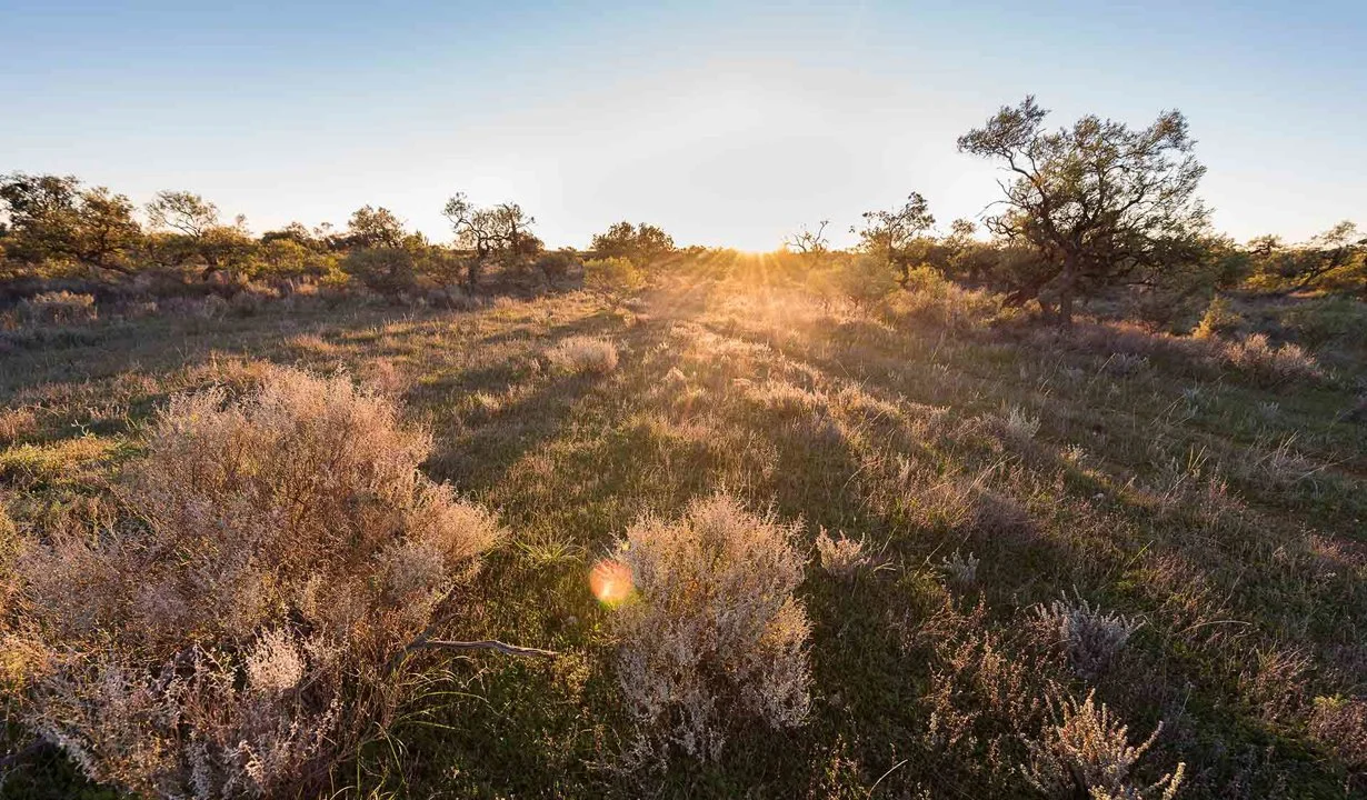 Mallee Region Hunting: Uncovering Interesting Facts About Local Game, Demographics, Legislation System, Associations and…