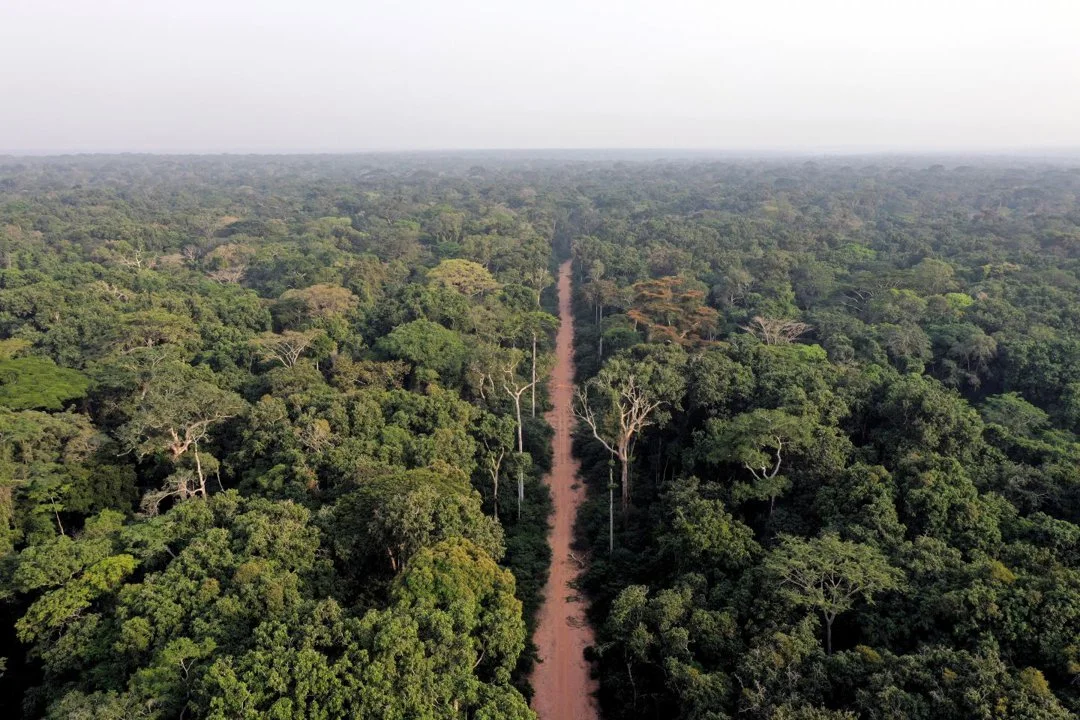 Hunting in Bangui: Exploring Geography, Navigating Regulations, and Discovering Local Traditions

Bangui, the capital and largest city of the Central African Republic, is