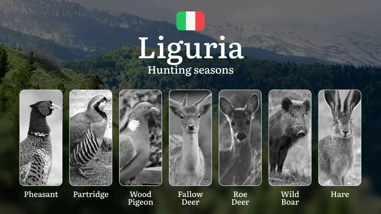 Liguria Hunting Guide Season: Dates, Prime Locations & Regulations – From September Openers to January Closures