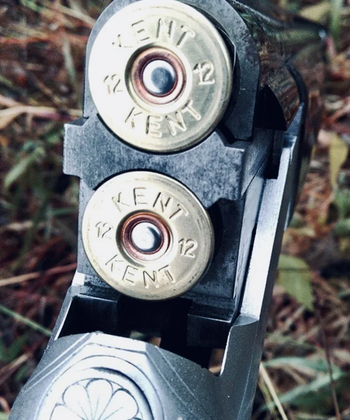 CZ Mallard: обзор охотничьего ружья, калибр, характеристики, отзывы, цена.