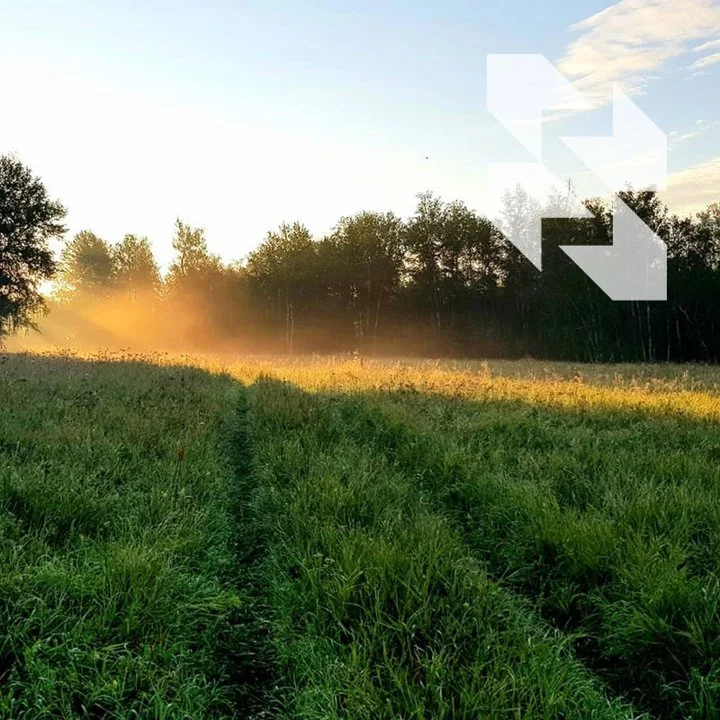 ℹ️ Vrijeme srnjaka počinje 🦌
Prošlo je samo tjedan dana od početka sezone trkanja srneće divljači, a već imamo prekrasne primjerke iz regije Kurgan u našem feedu ❤️
Si