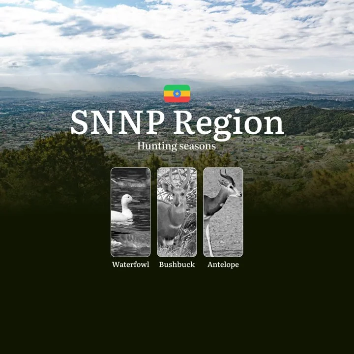 Hunting Seasons in the SOUTHERN NATIONS, NATIONALITIES, and PEOPLES' (SNNP) region, Ethiopia: Dates of Hunting, Rules and Periods, Penalties for Violating Hunting, Time and Location Hunting Seasons in the SOUTHERN NATIONS, NATIONALITIES, and PEOPLES' (SNNP) region, Ethiopia: Dates of Hunting, Rules and Periods, Penalties for Violating Hunting, Time and Location