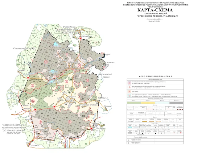 Червенский лесхоз: карты и границы для охоты, места и схемы пристрелки