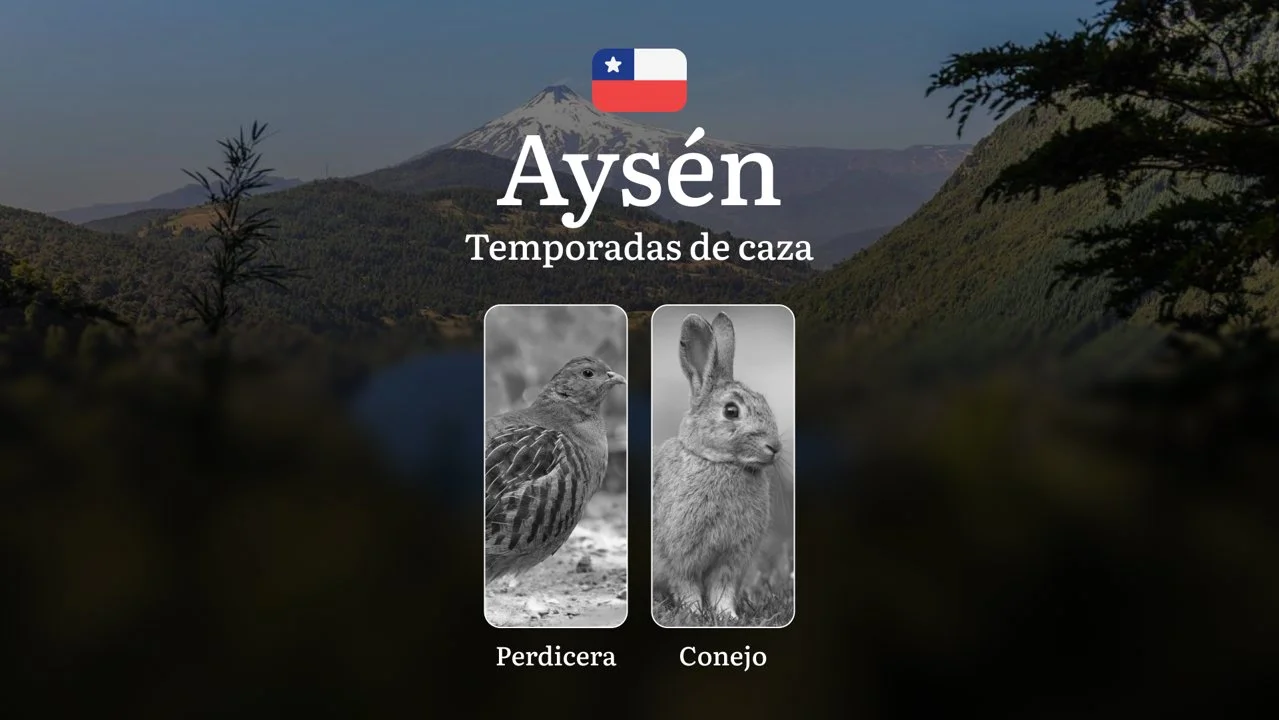 Temporadas de caza en la región de Aysén, Chile: épocas, normativas y recomendaciones, prohibiciones y limitaciones
Normativa y fechas de caza en la región de Aysén
La