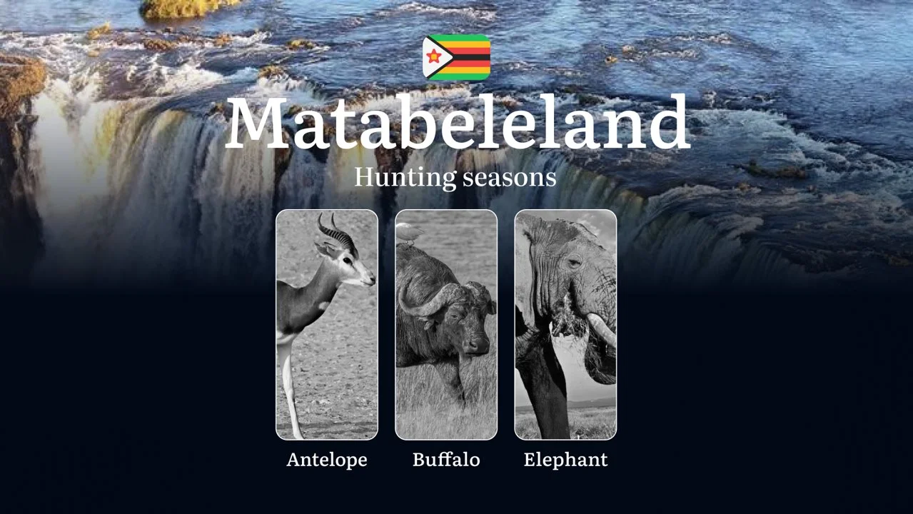 Hunting Seasons in Zimbabwe, MATABELELAND: Seasonal Dates, Hunting Permits, Tips for Hunters, Location, and Tactics, Con…
