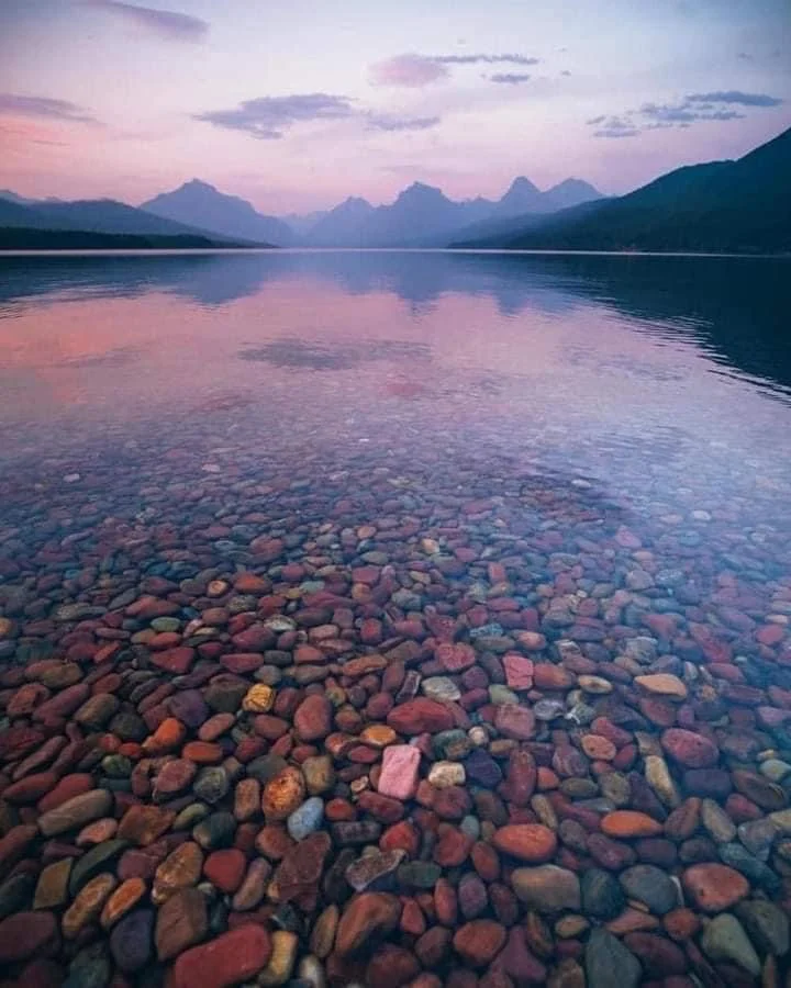 Montana! Montana!